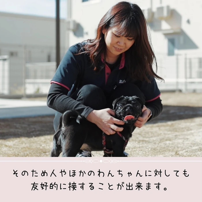 画像397