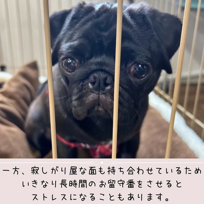 画像398
