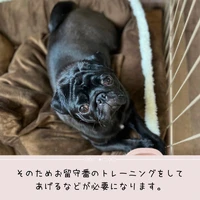 画像399