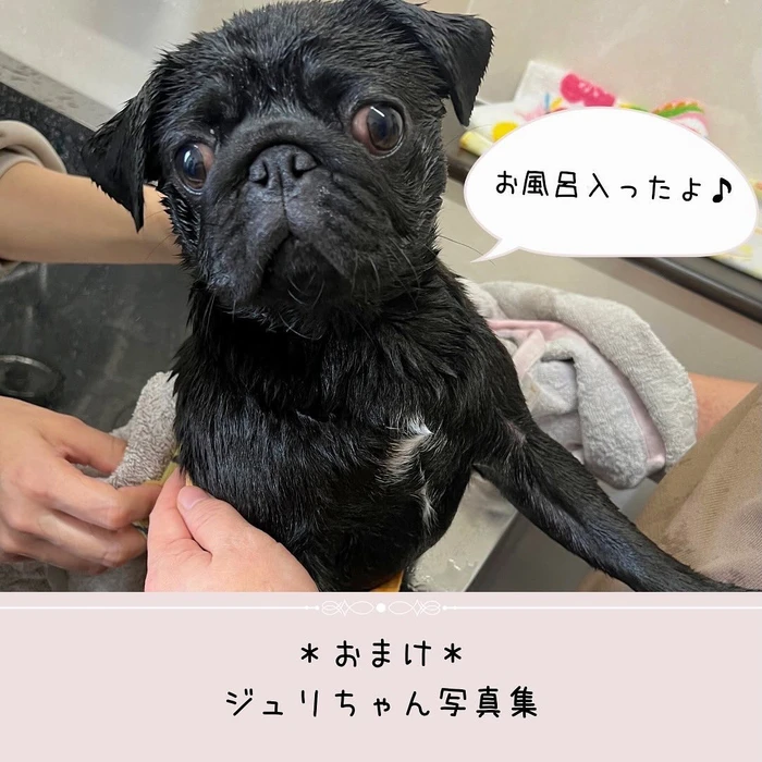 画像400