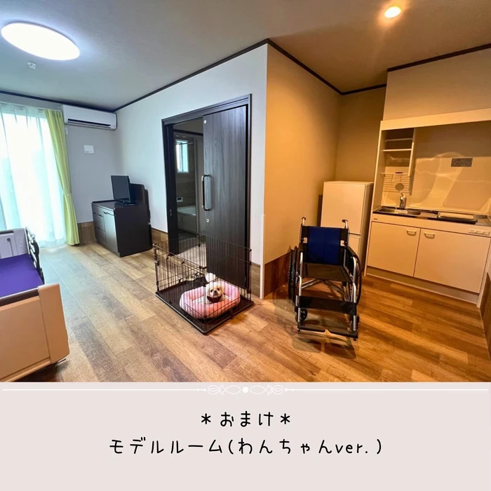 画像439
