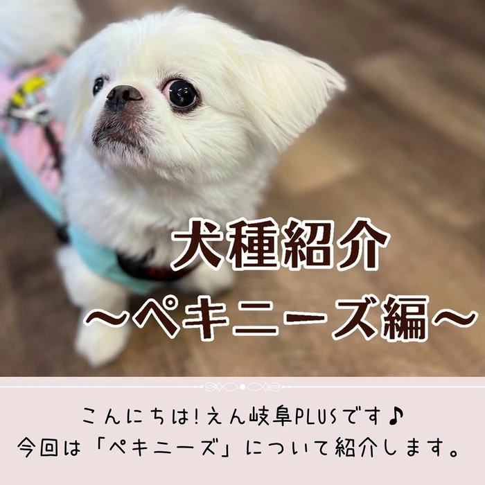 画像458