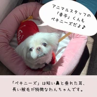 画像459
