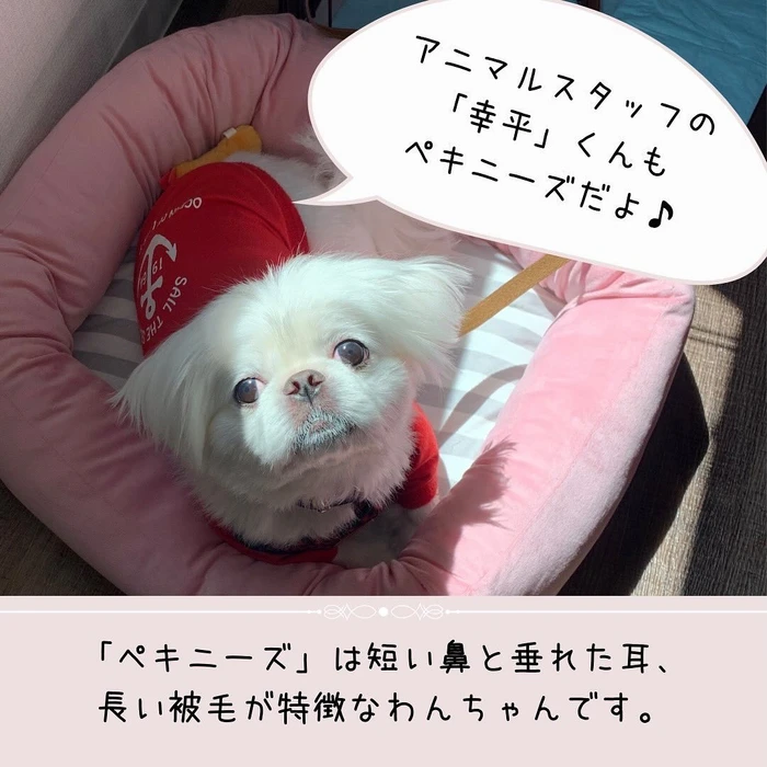 画像459