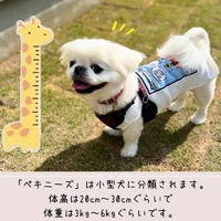 画像460