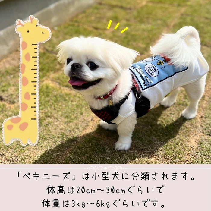画像460