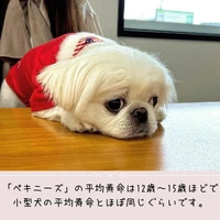 画像461