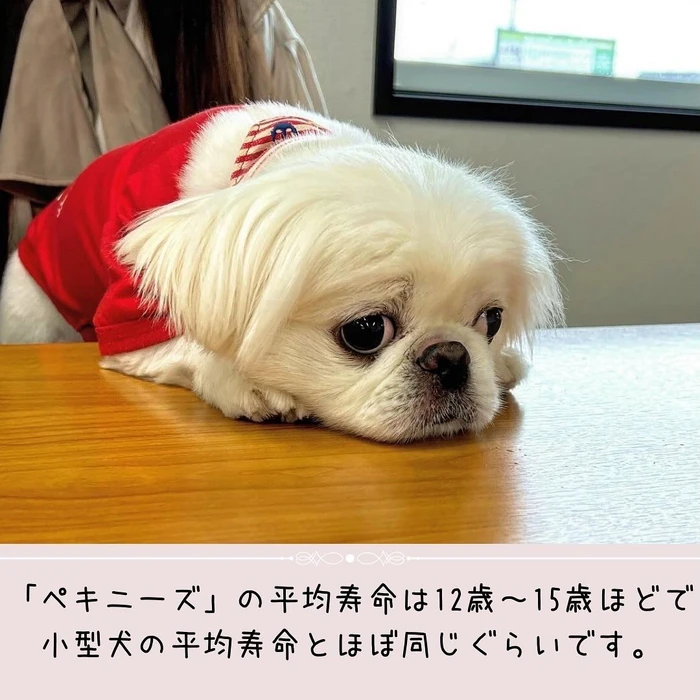 画像461