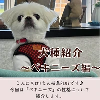 画像467