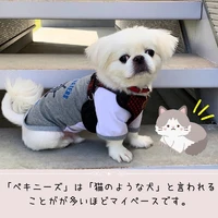画像468