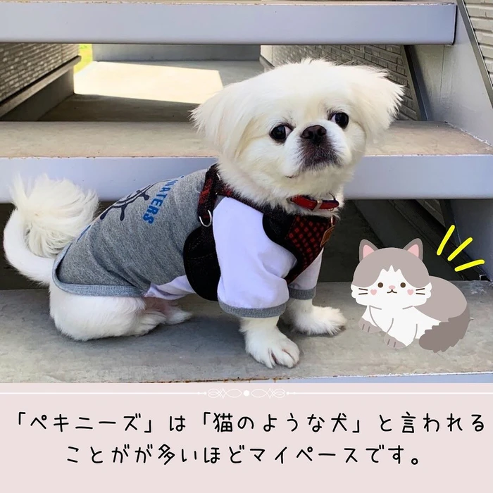画像468