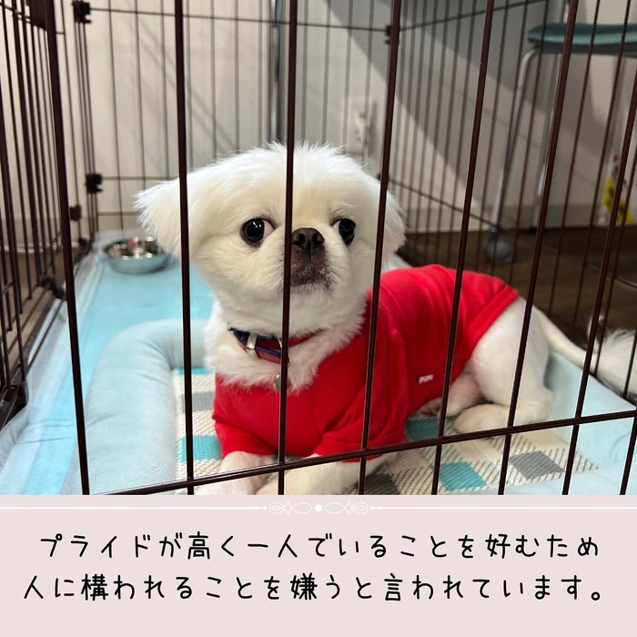 画像469
