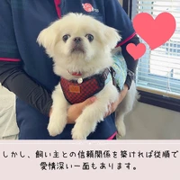 画像470