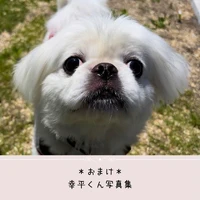画像471