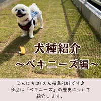 画像474