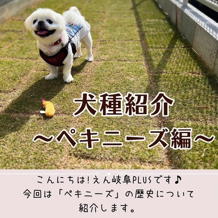 画像474