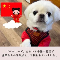 画像475