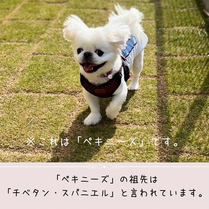 画像476