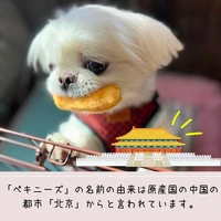 画像477