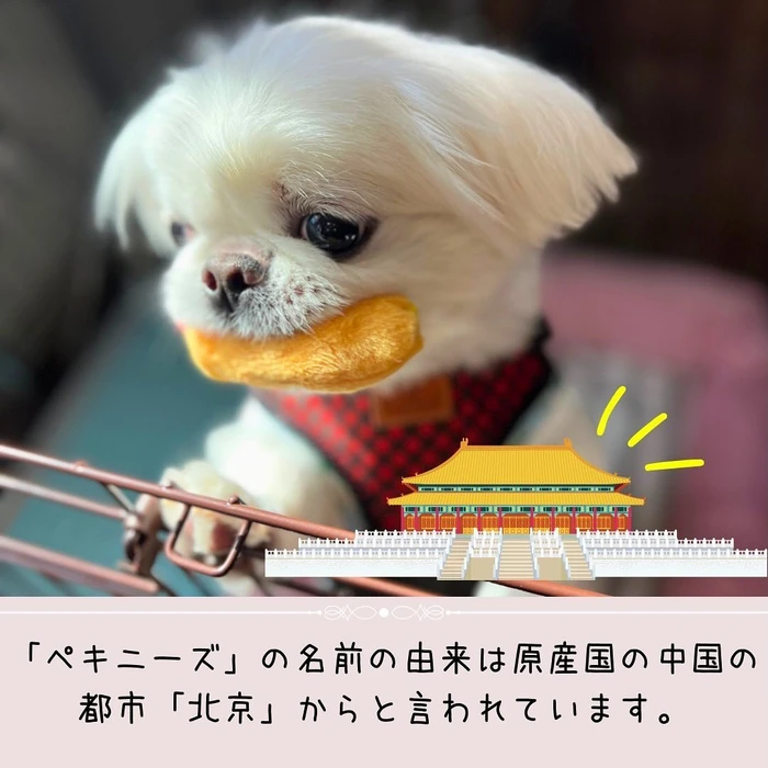 画像477