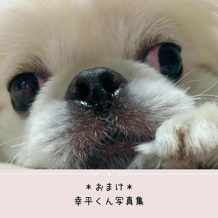 画像478