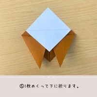 画像486