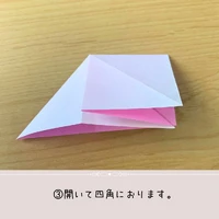 画像494