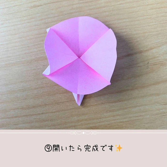 画像499