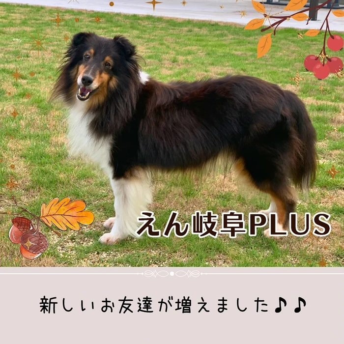 画像512