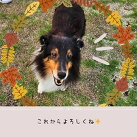 画像514