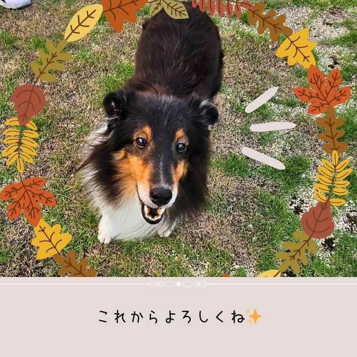 画像514