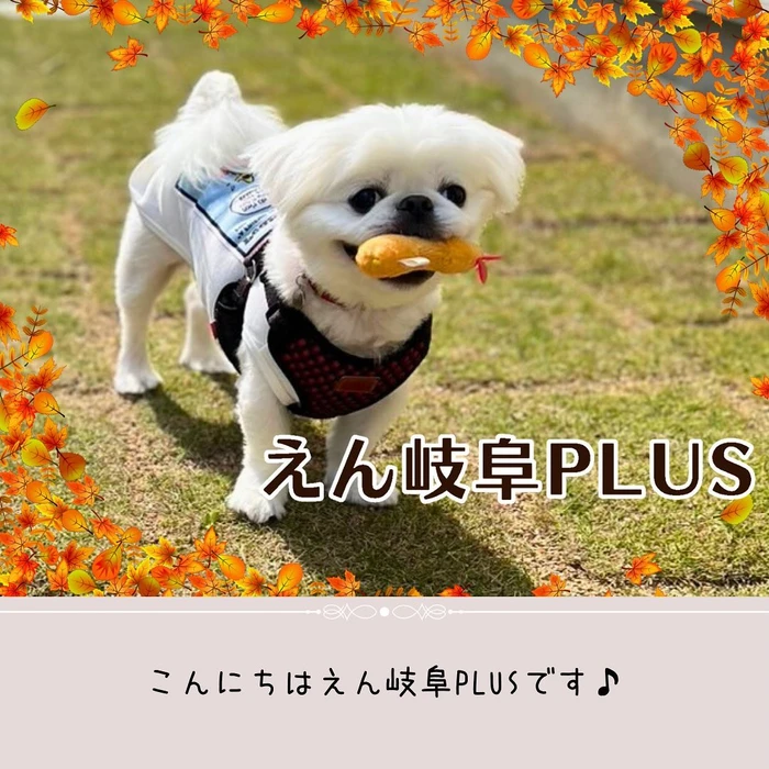画像517