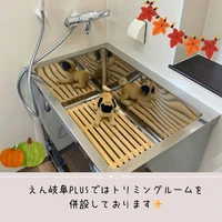 画像518