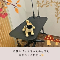 画像519