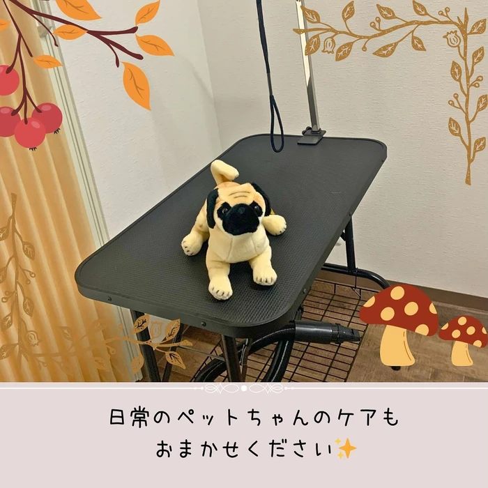画像519