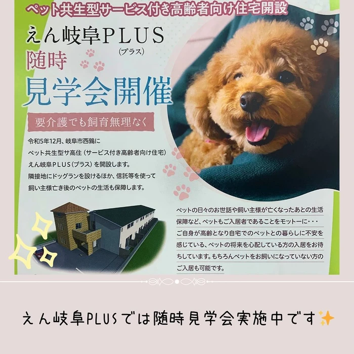 画像523
