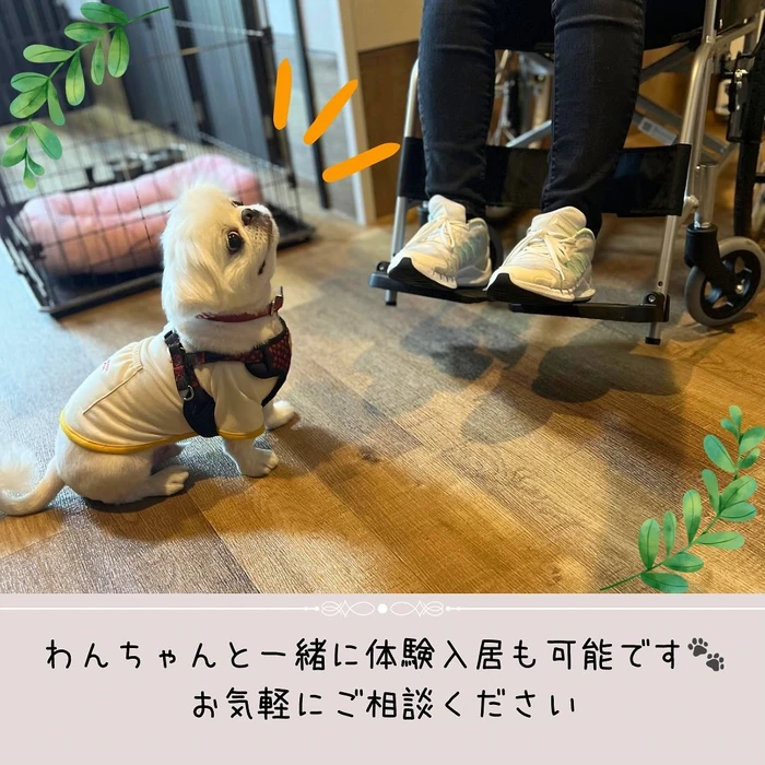 画像524