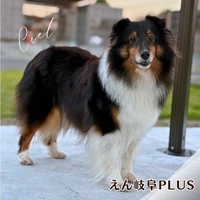 画像531